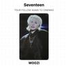 Seventeen СЛЕДУЙТЕ ЗА ТУРОМ СНОВА В КИНО Official Photocard