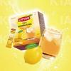 [Lipton] Kombucha 50EA 3Types
