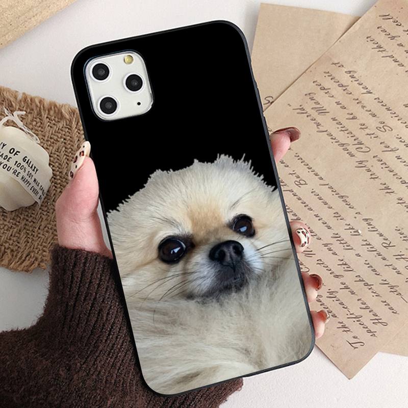 Чехол для телефона MaiYaCa Pomeranian dogs для iPhone 11 12 13 mini pro XS MAX 8 7 6 6S Plus X 5S SE 2020 XR