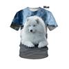 Летняя мужская и женская футболка самоедов с 3D принтом, милая дышащая удобная футболка, свободная футболка самоедов