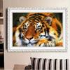 DIY Алмазная картина Тигр Набор для вышивки крестом Мозаика Искусство Алмазная картина Полный круг/Квадратный алмаз Украшение дома