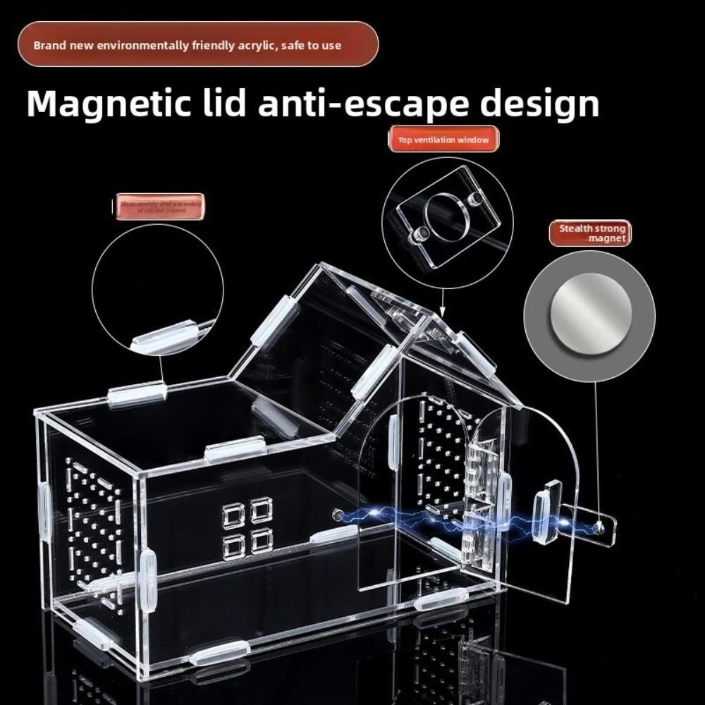 Новый акриловый террариум для рептилий, вентилируемый, с защитой от побега, кормушка для пауков, прозрачный вольер для древесных тарантулов, товары для мелких животных