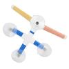 Parrots Shower Standing Pole Bathing Four Suction Cups Frosted Coating Bird Perch Toy