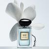 Armani Vetiver Noble Fresh Парфюм Весенний Ограниченный Древесный Туалетная Вода EDT Цитрусовый Бергамот 100 мл