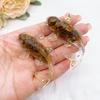 2,3-дюймовый натуральный кристаллический камень гравий счастливая рыбка кои фигурка смола мини кварцевая необычная статуэтка карпа домашний декор настольное украшение подарок