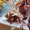 Realistic Resin Finger Crab Simulation Colorful Parasitic Finger Crab Conch Shell Snail Hermit Crab Toys Autism