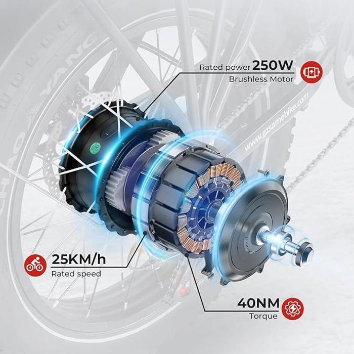 Vélo Électrique - SAMEBIKE - LOTDM200-II-FT-BK - 48V 13Ah - Autonomie 60-120 km - 20 pouces