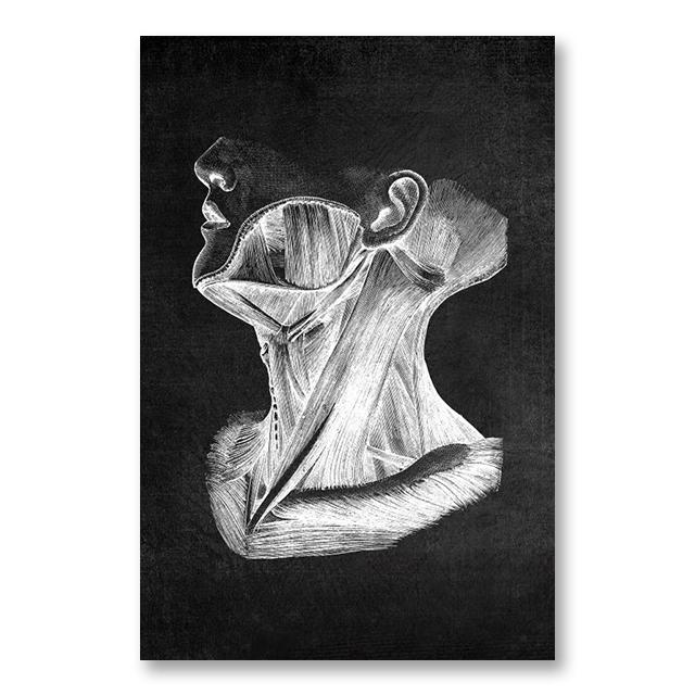 Анатомия человека, холст, картина, скелетное сердце, картина, украшение, плакат, подарок, спальня, настенные художественные принты, современный домашний декор, эстетический