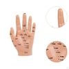 Anatomical Hand Mannequin Chinese Medical Meridians Educational Study Smooth Versatile Teaching Aid