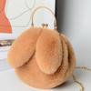 Plush Rabbit Bag Women Cute Handheld Plush Bag Autumn Winter Girls Chain Crossbody Bags Rabbit Ear Clip Bag
