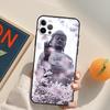 Подходит для чехла для мобильного телефона Apple IPhone13ProMax, чехла для мобильного телефона Buddha, окрашенного в цвет анти-падения, чехла для Huawei Anti-Drop Hand