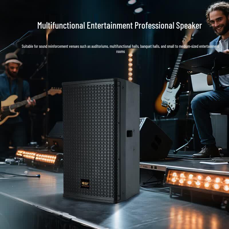 Weishu BM-1010 Professional 10-inch Full-range Conference Audio System (CN version)