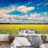 Yellow Rapeseed Field Wallpaper Blue Sky and White Clouds Natural Landscape Mural