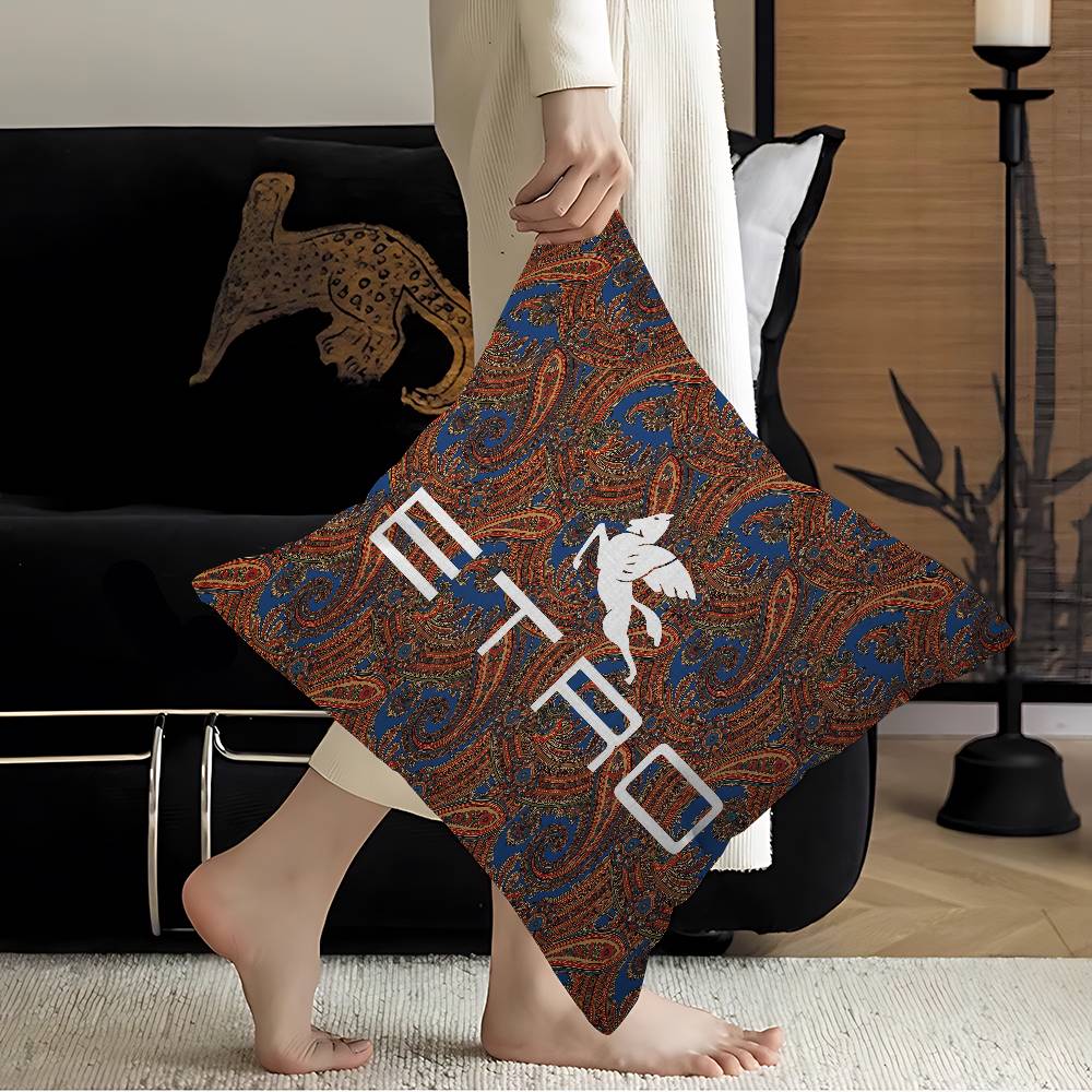 Brand EEtro Fashion Luxury Pillow Gift Home Office Decoration Bedroom Sofa Car Cushion Cover case x