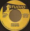 7inch Record JACKIE MITTOO / JACKIE MITTOO & SOU - Never Never / Version Ever NONE Studio One 2013 Jamaica Reggae, Ska & Dub Used