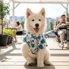Soft Fabric Cat T-Shirts Breathable Summer Dog Clothes Fashion Dog Shirt  Outdoor Activities