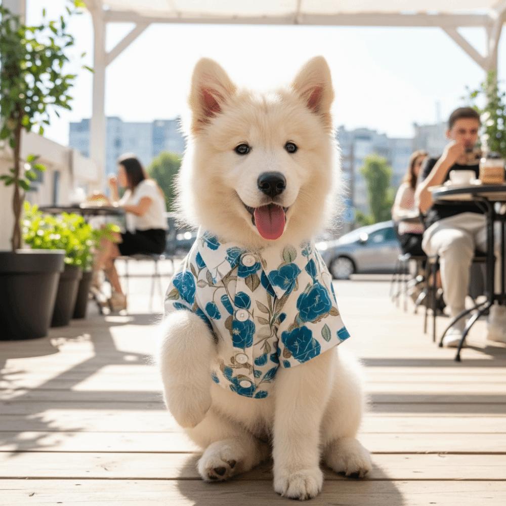 Soft Fabric Cat T-Shirts Breathable Summer Dog Clothes Fashion Dog Shirt Outdoor Activities