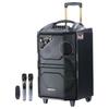 TEMEISHENG QX2-10 Уличный Караоке-Колонка с 19-дюймовым Вращающимся Экраном и Двумя Микрофонами CN plug (адаптер в комплекте)