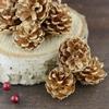 10 шт., украшения из натуральных сосновых шишек, экологически чистые сосновые шишки для рождественских вечеринок, свадеб, поделок своими руками