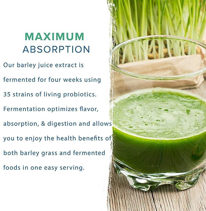 Organic Barley Powder 100% Pure and Natural, No Additives and Preservatives Pure, Kosher, Vegan, Bulk. Good Source of Fiber, Protein