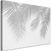 Canvas Print Gray Palm Leaves