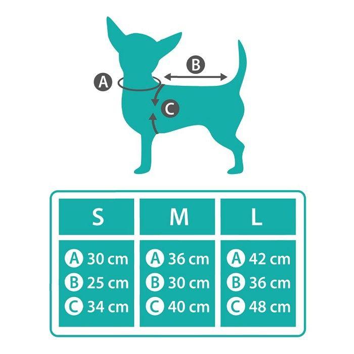 Déguisement De Dinosaure Pour Chien