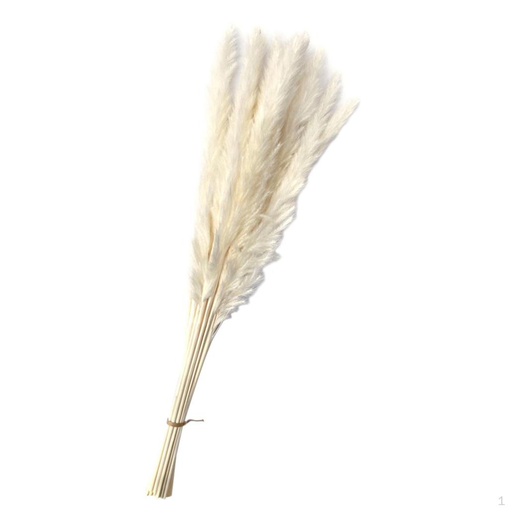 Букет из сушеных трав, букет из тростника Phragmites, поделки бохо для декора, подарок на день рождения