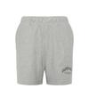 Calvin Klein Mens New York Collegiate Athletic Shorts