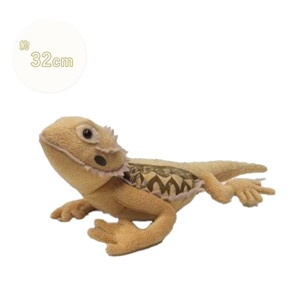 Бородатая агама 32 см