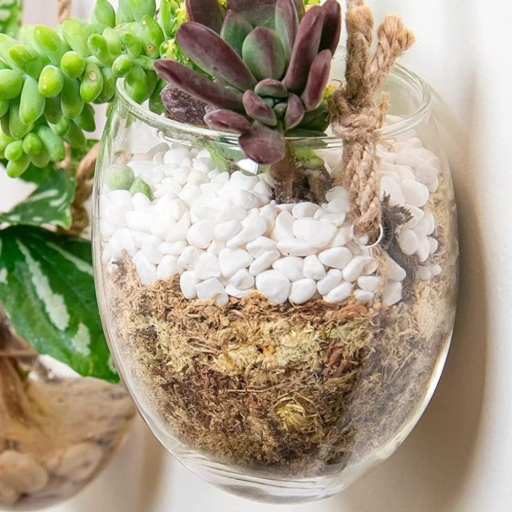 Transparent Hydroponic Hanging Vase Glass Flower Arrangement Bottle Flower Pot Living Room