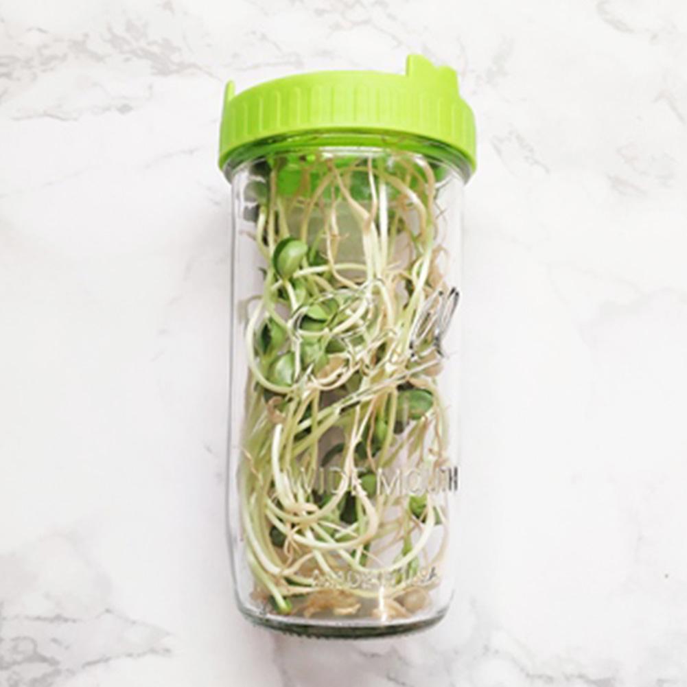 Wide Mouth Mason Jar Sprouting Lid Food Grade Mesh Sprout Cover (Green)