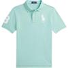 Polo Футболка поло с принтом логотипа в виде букв Прямой крой Короткий рукав Детские топы Сине-зеленый 323703635-110