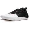 Баскетбольные кроссовки Li Ning All City 12 ENCORE Low top Мужские Черно-белые ABAU029-2