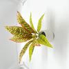 11-Leaf Magnolia & Tiger Pothos Artificial Potted Plant - Home Décor Accessory