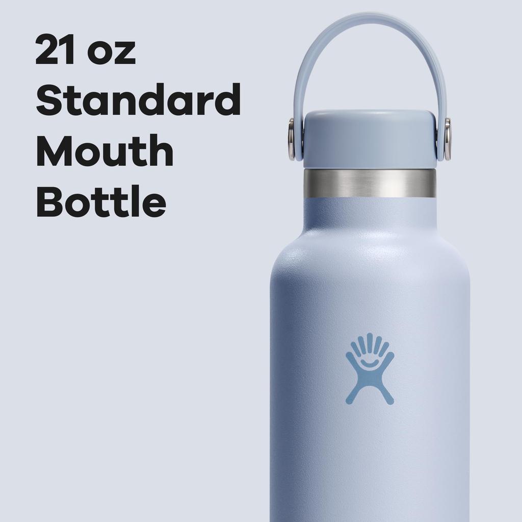 Standard Mouth 21oz Surf Stainless Steel Water Bottle Japanese (621ml) (Official Product)