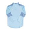 Puma Childrens/Kids Final Training Top