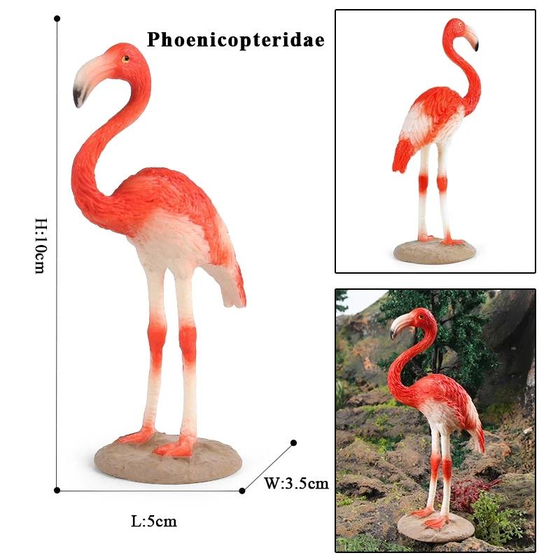Oenux Садовые фигурки птиц Белая сова Тукан Птицы-носороги Модель Животные ПВХ Фигурки Коллекция Игрушки для детей Подарок на день рождения