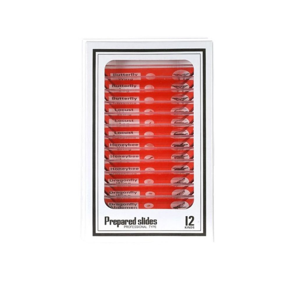 Животные Насекомые Растения Цветы Микроскоп Слайды Студенты Дети