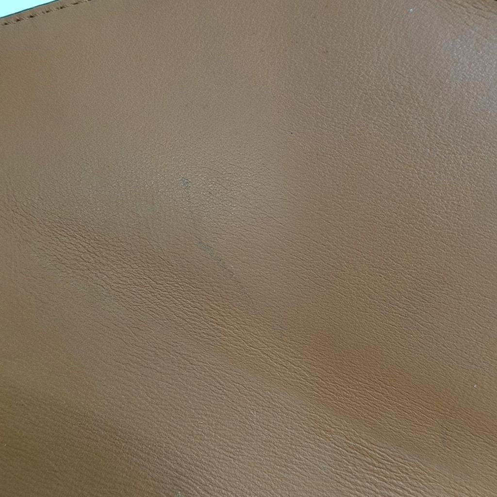 [Pre-Owned] Pasetia Visetos Monogram Coated Canvas Crossbody Bag - Very Good #B31FI3