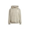 Adidas Originals Premium Graphic Hoodie Men Hoodies Pebble-Grey IV9697