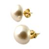 [N7248] - Gold Plated Ivory 'Perla' Earrings - 10 Mm