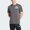 Adidas T Shirts Men's Gray Crew Neck Moderate Straight Fit JD8211