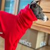 Winter Warm 4-legged Red Jacket for Italy Greyhound Wellington Dog Clothes Autumn Thick Warm Fashion Sweatshirt for Whipbit