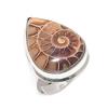 Natural Ammonite Fossil Gemstone 925 Sterling Silver Jewelry Ring Size 8.5 M9z20