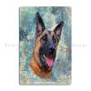 Big dog with his prize Belgian Malinois radiates infinite energy Metal Wall Plaque Bar Design Bar Cave Custom Tin Sign Poster