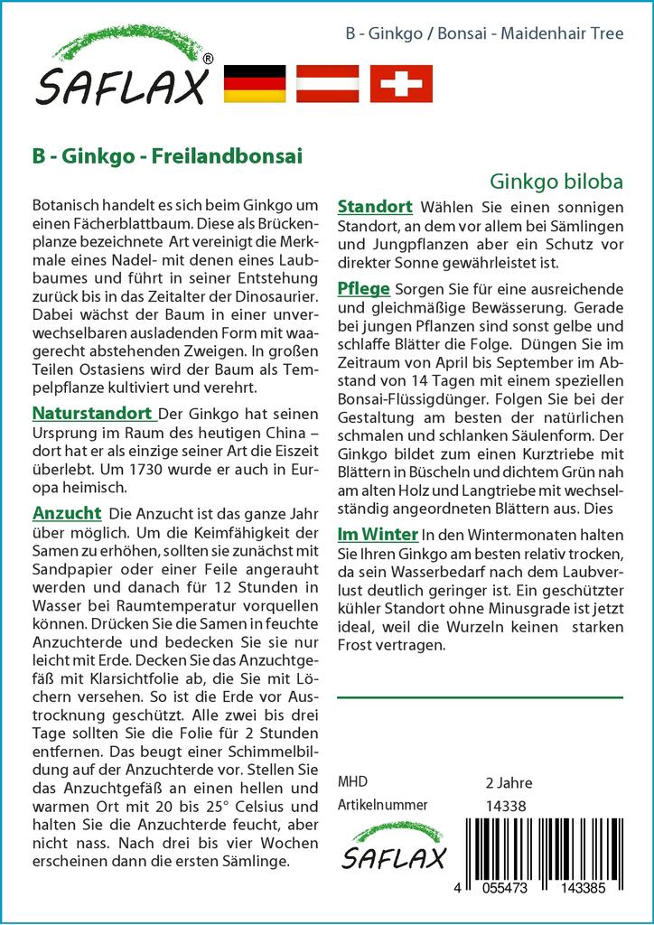 SAFLAX Garden in the Bag - Бонсай - Дерево девичьего волоса - 4 семени - С субстратом в подходящем пакете - Гинкго двулопастный