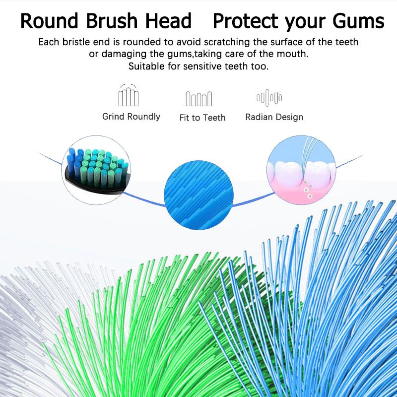 Replacement Toothbrush Heads Compatible with Seago Electric Toothbrushes SG2303/SG575/E1/E2/E3/E4 Ect
