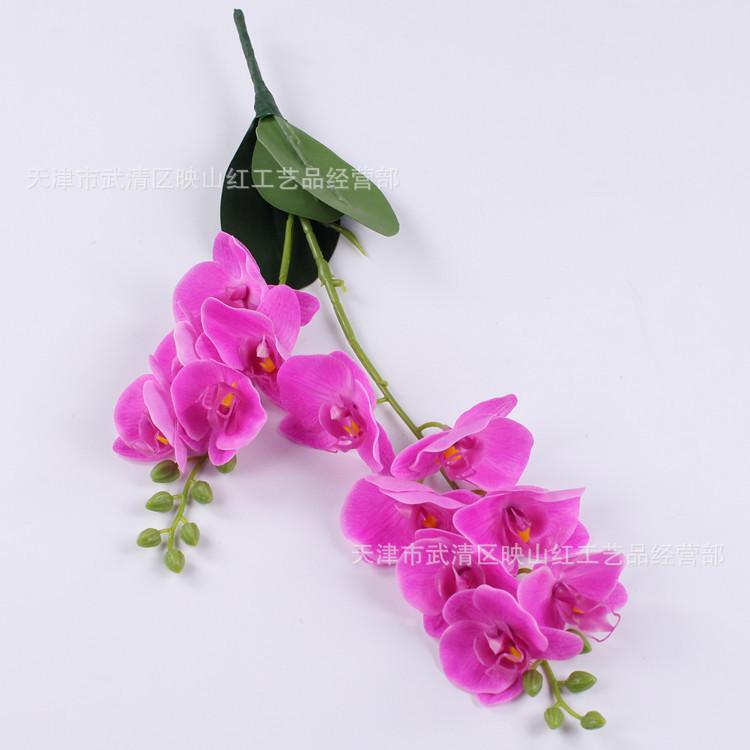 2-Fork small Phalaenopsis, feel film Phalaenopsis, simulated Phalaenopsis