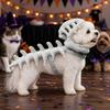 3D Dinosaur Skeleton Pet Costume 45CM Cat Cosplay Headwear  Halloween Party