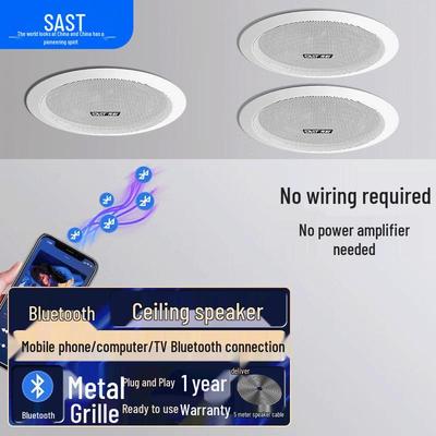 SAST D30 Беспроводная Bluetooth Потолочная Акустическая Система Штекер CN (адаптер в комплекте)
